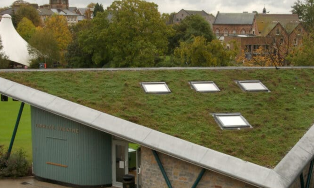 Take a deep dive in to our Terrace Theatre project for Bristol Zoo